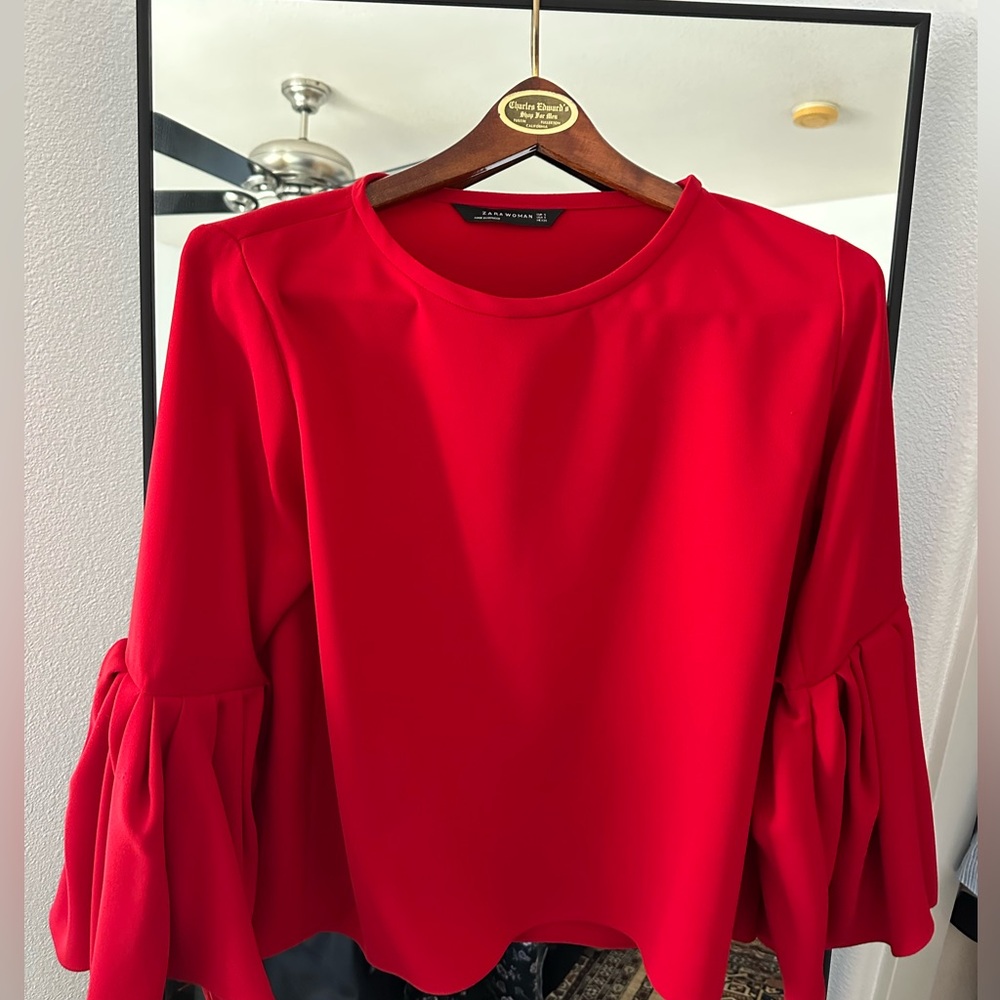 Lightly Worn Zara Peplum Sleeve top